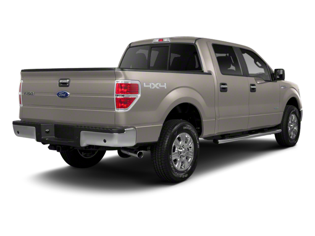 Used 2012 Ford F-150 Platinum with VIN 1FTFW1E63CFC13313 for sale in Roseau, Minnesota
