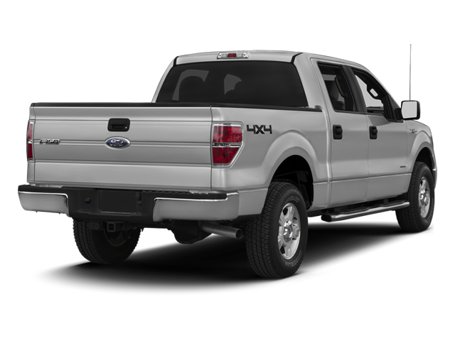 Used 2013 Ford F-150 XLT with VIN 1FTFW1ET6DKD81896 for sale in Roseau, MN