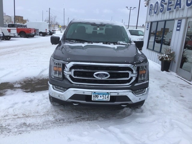 Used 2021 Ford F-150 XLT with VIN 1FTFW1E82MFC95487 for sale in Roseau, Minnesota
