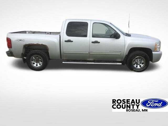 2010 Chevrolet Silverado 1500 LS